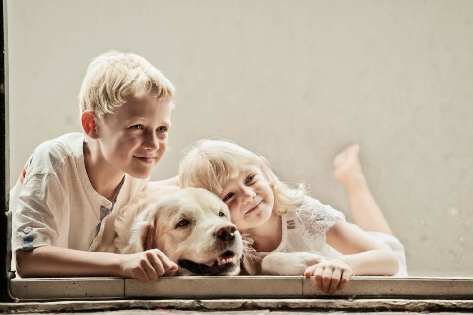 pet-photography-in-natural-light-white-room-studio